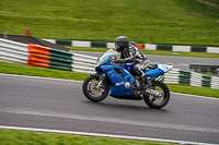 Middle Group Blue Bikes
